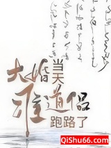 大婚当天准道侣跑路了小说