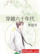穿越六十年代小说