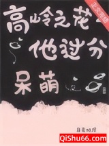 高岭之花他过分呆萌小说