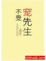 不受宠先生小说