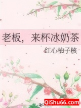 老板,来杯冰奶茶小说