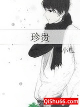 珍贵小说