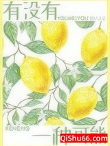 有没有一种可能小说