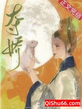 夺娇小说
