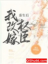 重生后我改嫁权臣小说