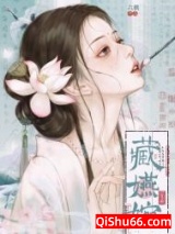 妧枝（重生）小说