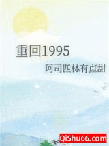 重回1995小说