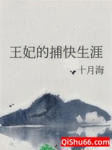 王妃的捕快生涯小说