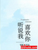 听说我喜欢你小说