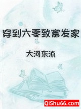 穿到六零致富发家小说