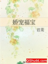 娇宠福宝小说