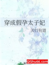 穿成假孕太子妃小说