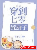 穿到七零嫁厨子小说