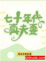 七十年代真夫妻小说