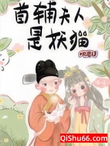 首辅夫人是妖猫小说