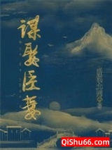谋娶臣妻小说
