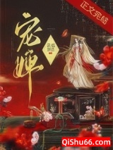 宠婢小说