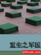 重生之军医小说