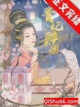 贵妃醉酒小说