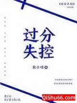 过分失控小说