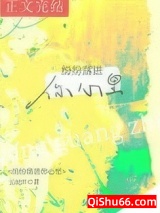 纷纷落进你心里小说