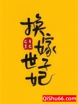 换嫁世子妃小说