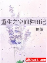 重生之空间种田记小说