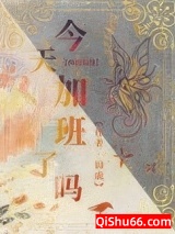 今天加班了吗［西幻基建］小说