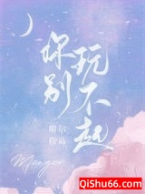 你别玩不起小说