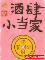 酒肆小当家小说