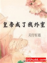 皇帝成了我外室小说