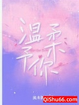 温柔予你小说