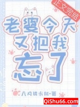 老婆今天又把我忘了小说