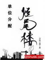 单位分配烂尾楼小说