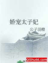 娇宠太子妃小说