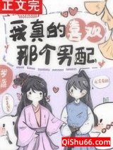 我真的喜欢那个男配！（快穿）小说
