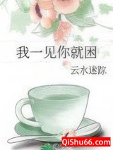 我一见你就困小说