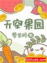 天空果园小说