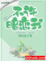 不许暗恋我小说