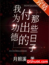 我为功德付出的那些日子小说