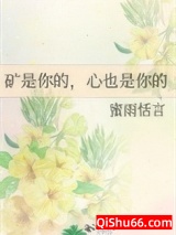 矿是你的，心也是你的小说