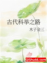 古代科举之路小说