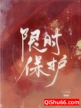 限时保护小说