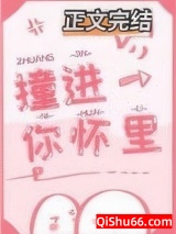 撞进你怀里小说