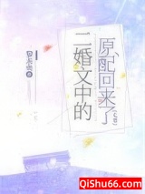 二婚文中的原配回来了[七零]小说