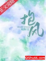 抱风小说