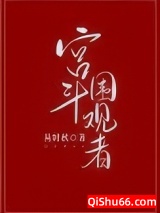 宫斗围观者小说