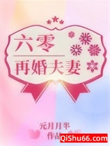 六零再婚夫妻小说