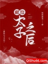 献给太子之后小说