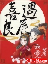 喜遇良辰小说